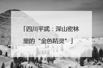 四川平武：深山密林里的“金色精灵”