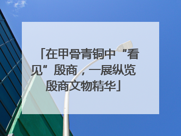 在甲骨青铜中“看见”殷商，一展纵览殷商文物精华