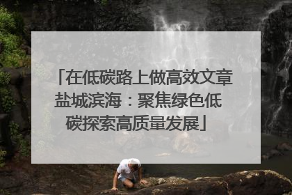 在低碳路上做高效文章 盐城滨海：聚焦绿色低碳探索高质量发展