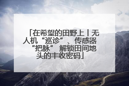 在希望的田野上丨无人机“巡诊”、传感器“把脉” 解锁田间地头的丰收密码