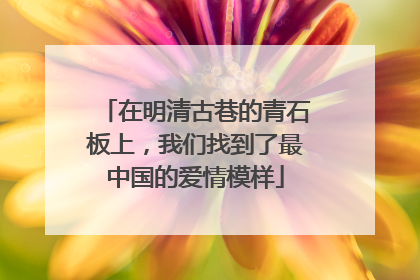 在明清古巷的青石板上，我们找到了最中国的爱情模样