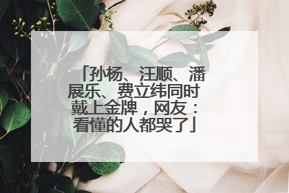 孙杨、汪顺、潘展乐、费立纬同时戴上金牌，网友：看懂的人都哭了