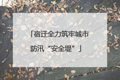 宿迁全力筑牢城市防汛“安全堤”
