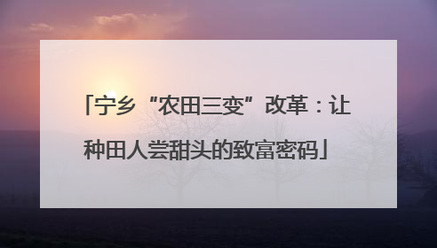 宁乡“农田三变”改革：让种田人尝甜头的致富密码