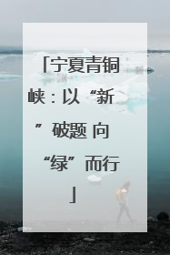 宁夏青铜峡：以“新”破题 向“绿”而行