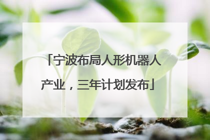 宁波布局人形机器人产业，三年计划发布