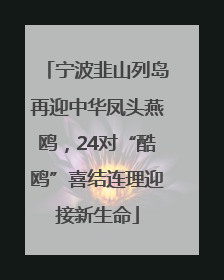 宁波韭山列岛再迎中华凤头燕鸥，24对“酷鸥”喜结连理迎接新生命