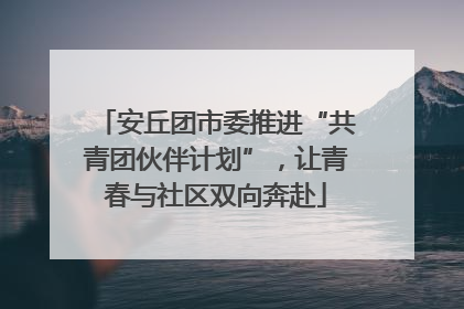 安丘团市委推进“共青团伙伴计划”，让青春与社区双向奔赴