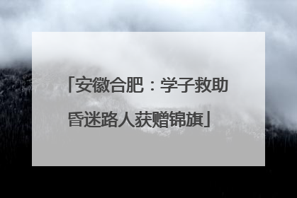 安徽合肥：学子救助昏迷路人获赠锦旗