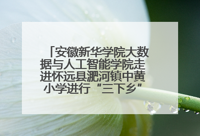 安徽新华学院大数据与人工智能学院走进怀远县淝河镇中黄小学进行“三下乡”支教活动