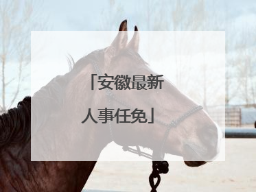 安徽最新人事任免