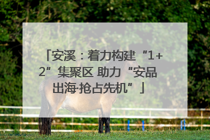 安溪：着力构建“1+2”集聚区 助力“安品出海·抢占先机”