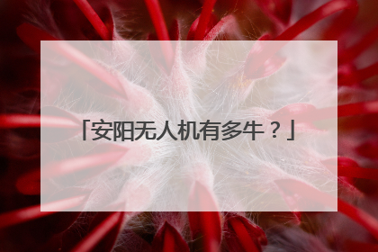 安阳无人机有多牛？
