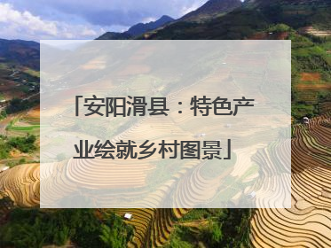 安阳滑县：特色产业绘就乡村图景