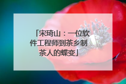 宋琦山：一位软件工程师到茶乡制茶人的蝶变