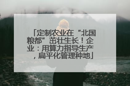 定制农业在“北国粮都”茁壮生长！企业：用算力指导生产，扁平化管理种地