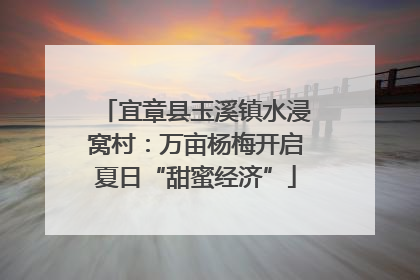 宜章县玉溪镇水浸窝村：万亩杨梅开启夏日“甜蜜经济”
