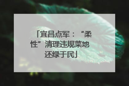 宜昌点军：“柔性”清理违规菜地 还绿于民