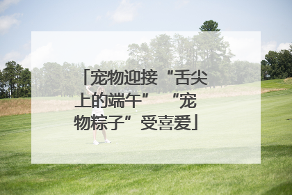 宠物迎接“舌尖上的端午” “宠物粽子”受喜爱