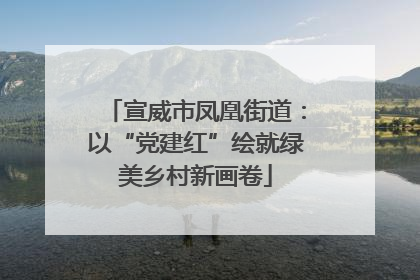 宣威市凤凰街道：以“党建红”绘就绿美乡村新画卷