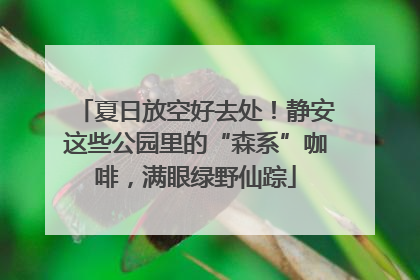 夏日放空好去处！静安这些公园里的“森系”咖啡，满眼绿野仙踪
