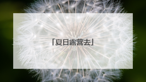 夏日露营去