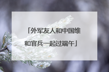 外军友人和中国维和官兵一起过端午