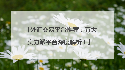 外汇交易平台推荐，五大实力派平台深度解析！