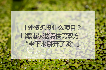 外资想投什么项目？上海浦东邀请供需双方“坐下来掰开了谈”
