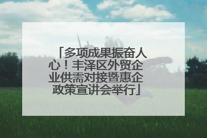 多项成果振奋人心！丰泽区外贸企业供需对接暨惠企政策宣讲会举行