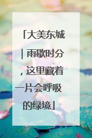 大美东城｜雨歇时分，这里藏着一片会呼吸的绿境