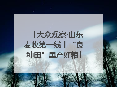 大众观察·山东麦收第一线丨“良种田”里产好粮