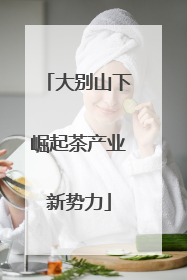 大别山下崛起茶产业新势力