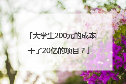 大学生200元的成本干了20亿的项目？