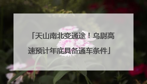 天山南北变通途！乌尉高速预计年底具备通车条件