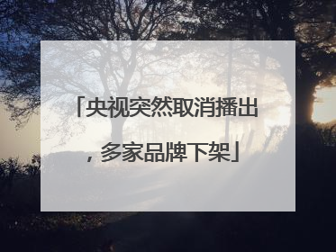 央视突然取消播出，多家品牌下架