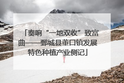 奏响“一地双收”致富曲——鄄城县董口镇发展特色种植产业侧记