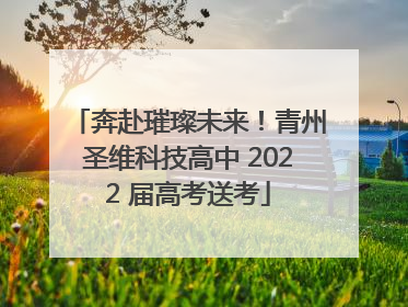 奔赴璀璨未来！青州圣维科技高中 2022 届高考送考