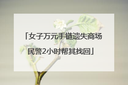 女子万元手链遗失商场 民警2小时帮其找回