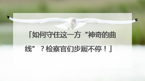如何守住这一方“神奇的曲线”？检察官们步履不停！