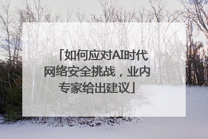 如何应对AI时代网络安全挑战，业内专家给出建议