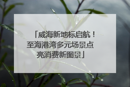 威海新地标启航！至海港湾多元场景点亮消费新图景