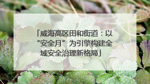 威海高区田和街道：以“安全月”为引擎构建全域安全治理新格局