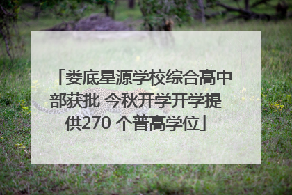 娄底星源学校综合高中部获批 今秋开学开学提供270 个普高学位
