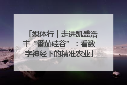 媒体行｜走进凯盛浩丰“番茄硅谷”：看数字神经下的精准农业