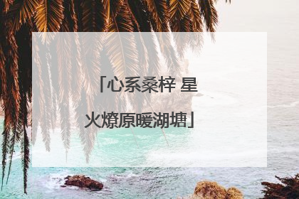 心系桑梓 星火燎原暖湖塘