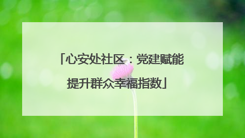 心安处社区：党建赋能 提升群众幸福指数