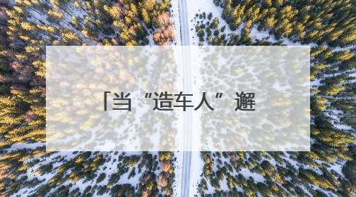 当“造车人”邂逅“追光者” 六安开发区如何“智造”突围？