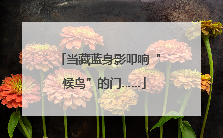 当藏蓝身影叩响“候鸟”的门……
