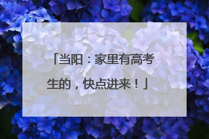 当阳：家里有高考生的，快点进来！